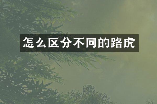 怎么区分不同的路虎