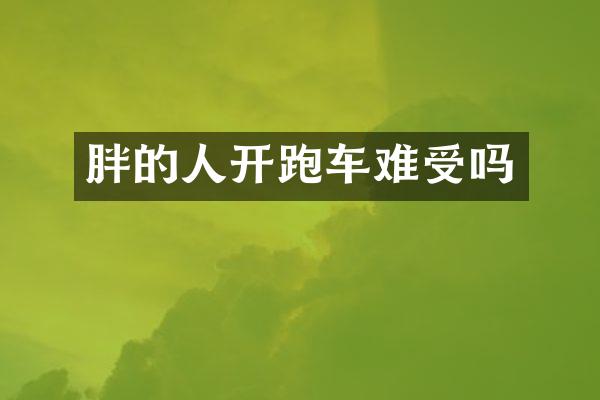 胖的人开跑车难受吗