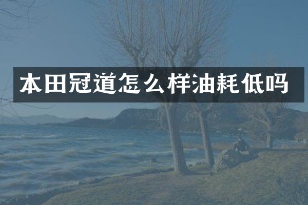 本田冠道怎么样油耗低吗