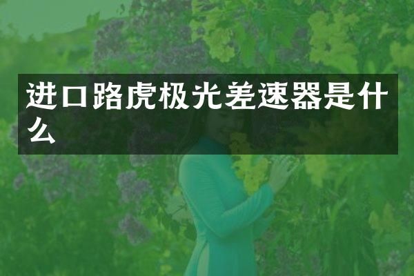 进口路虎极光差速器是什么