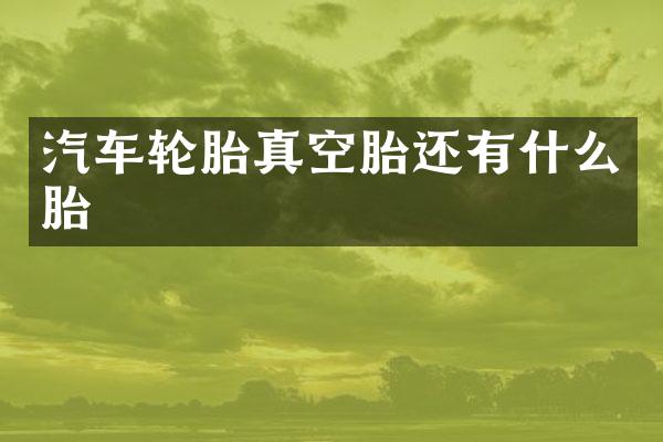 汽车轮胎真空胎还有什么胎