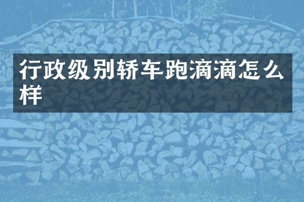 行政级别轿车跑滴滴怎么样