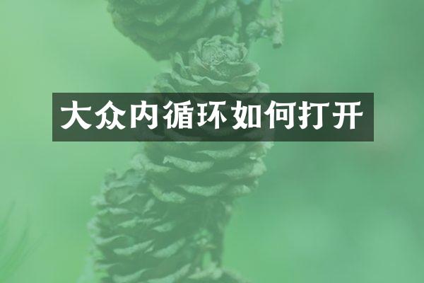 大众内循环如何打开