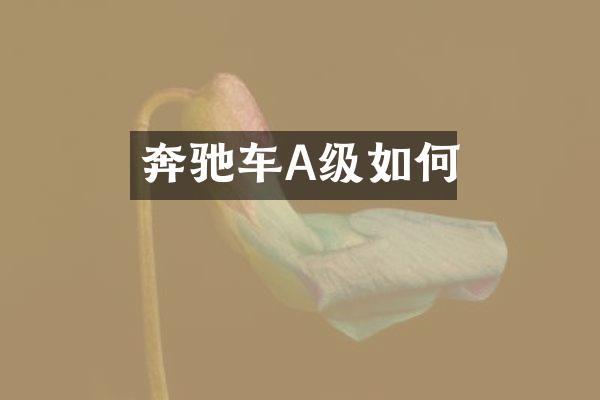 奔驰车A级如何