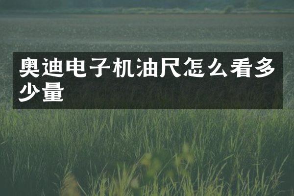 奥迪电子机油尺怎么看多少量