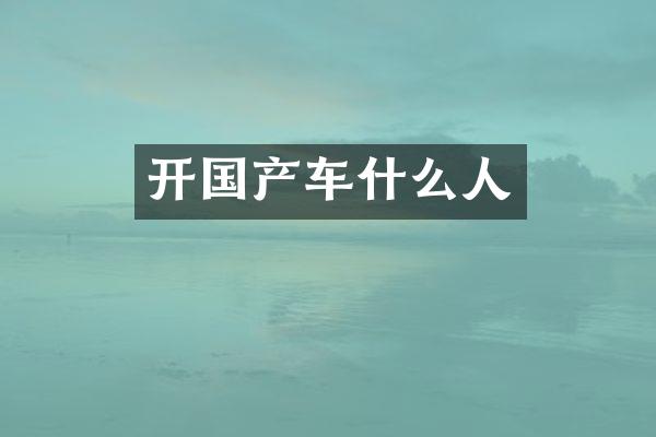 开国产车什么人