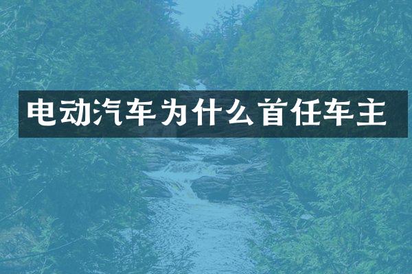 电动汽车为什么首任车主