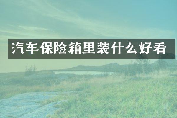 汽车保险箱里装什么好看
