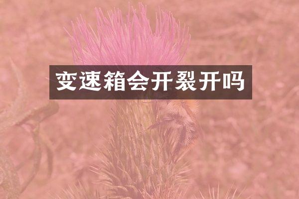 变速箱会开裂开吗