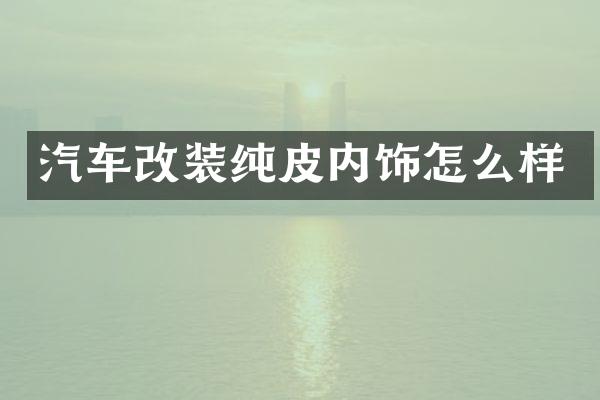 汽车改装纯皮内饰怎么样