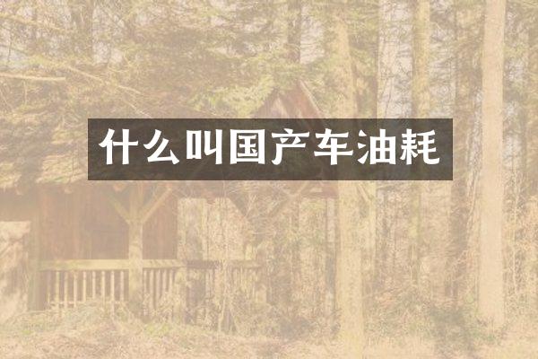什么叫国产车油耗