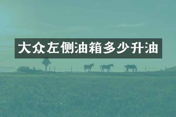 大众左侧油箱多少升油