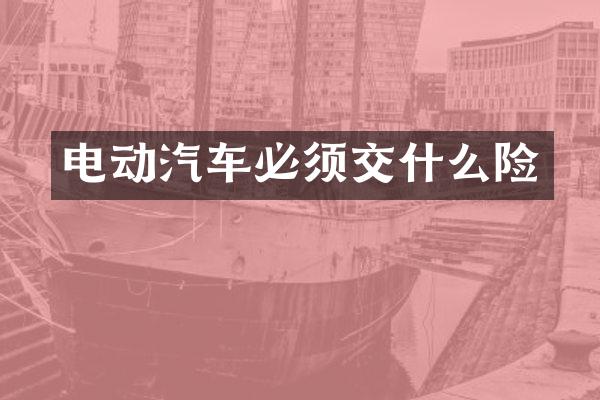 电动汽车必须交什么险