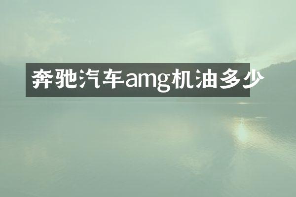 奔驰汽车amg机油多少