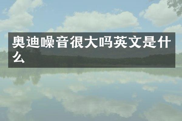 奥迪噪音很大吗英文是什么