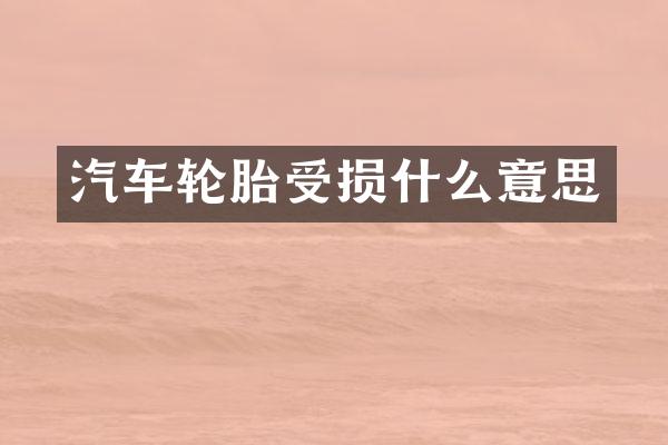汽车轮胎受损什么意思