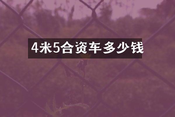 4米5合资车多少钱