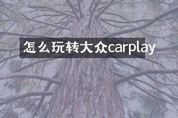 怎么玩转大众carplay