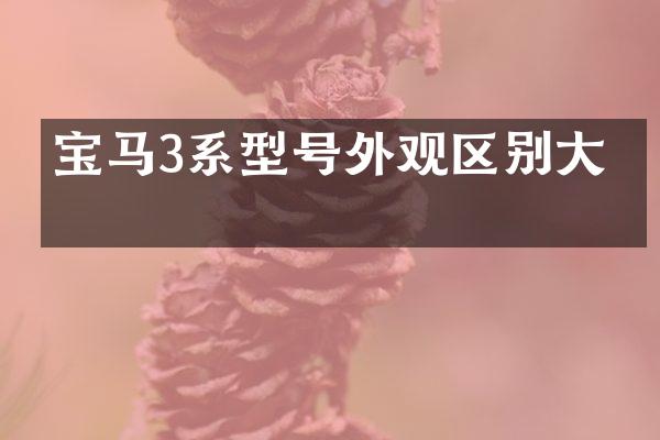 宝马3系型号外观区别大吗