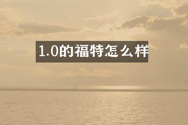 1.0的福特怎么样