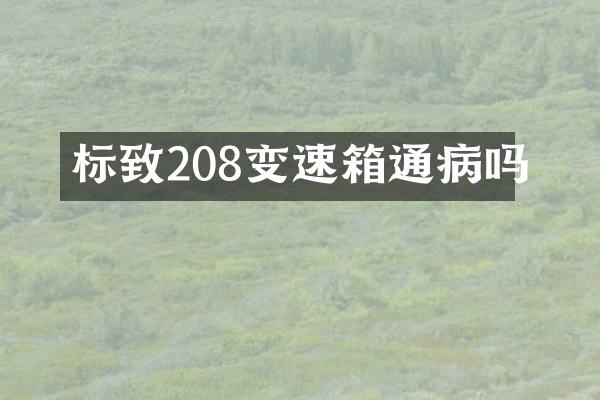 标致208变速箱通病吗