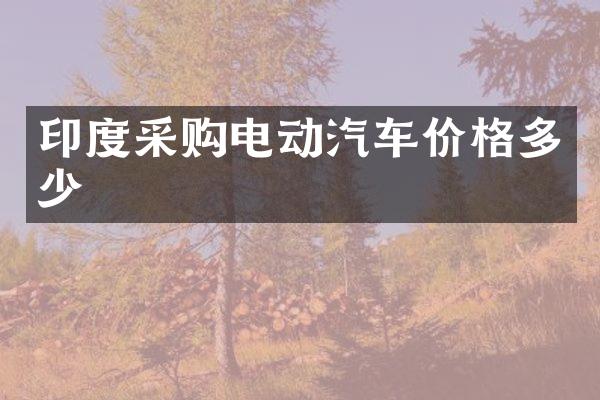 印度采购电动汽车价格多少