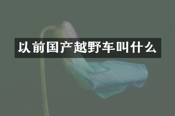 以前国产越野车叫什么