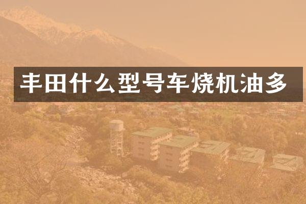 丰田什么型号车烧机油多