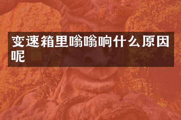变速箱里嗡嗡响什么原因呢