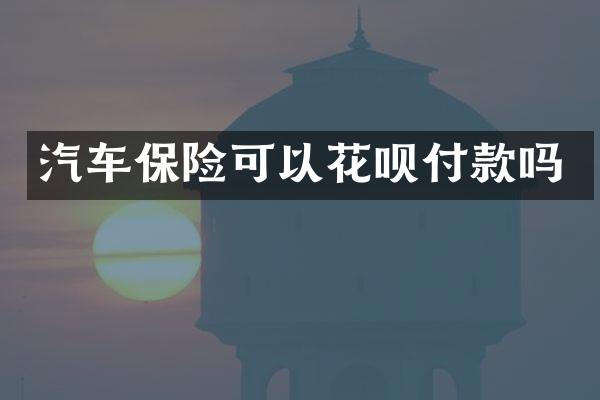 汽车保险可以付款吗