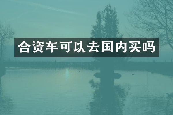 合资车可以去国内买吗