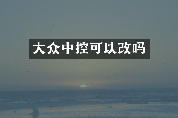 大众中控可以改吗