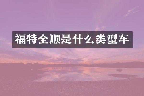 福特全顺是什么类型车