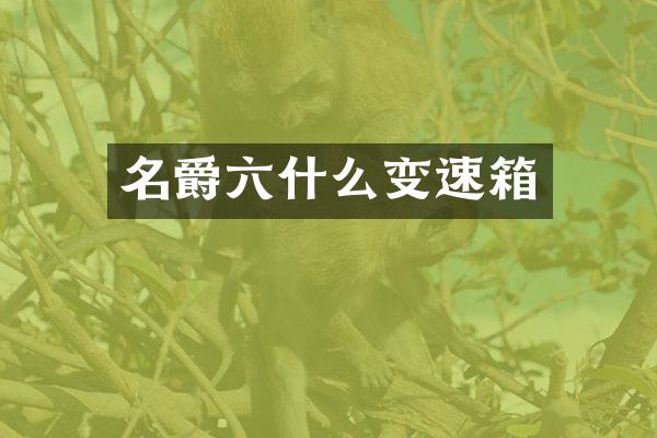 名爵六什么变速箱