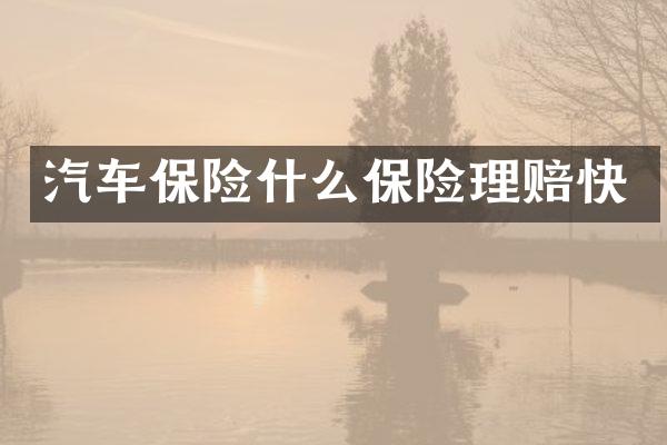 汽车保险什么保险理赔快