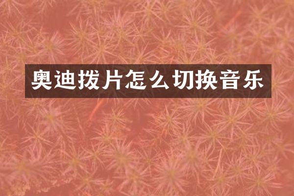 奥迪拨片怎么切换音乐