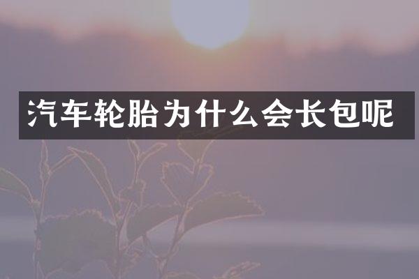 汽车轮胎为什么会长包呢