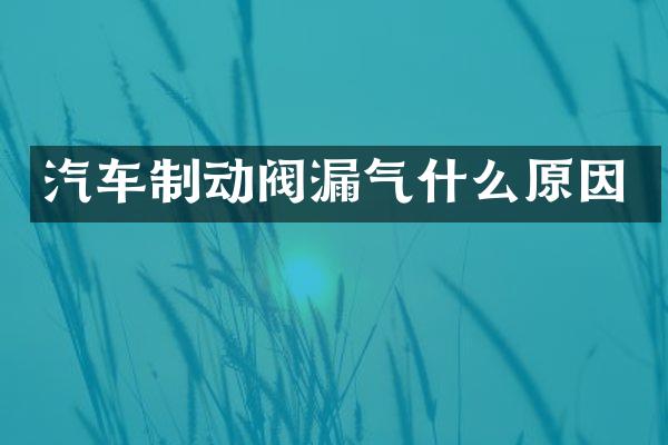 汽车制动阀漏气什么原因
