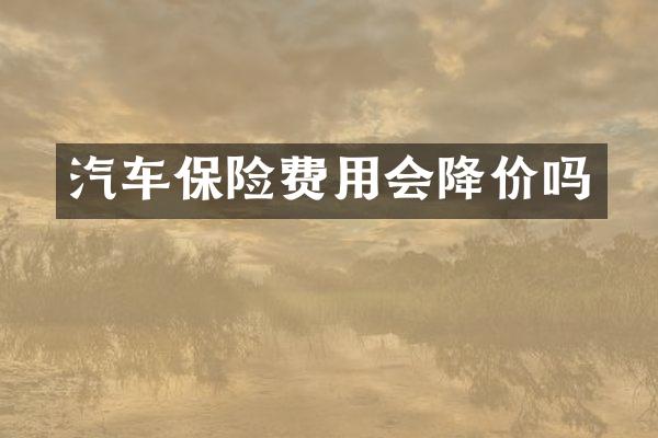 汽车保险费用会降价吗