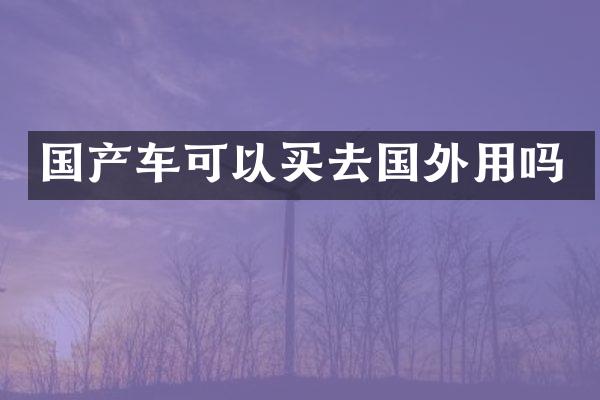国产车可以买去国外用吗
