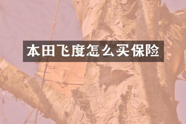 本田飞度怎么买保险