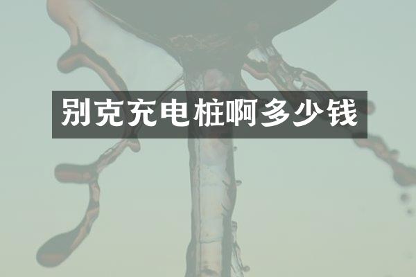 别克充电桩啊多少钱
