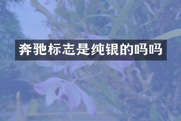 奔驰标志是纯银的吗吗
