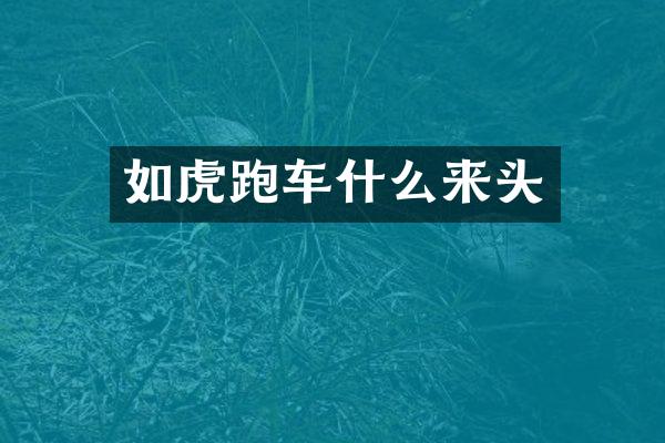 如虎跑车什么来头