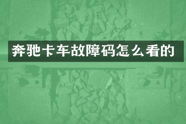 奔驰卡车故障码怎么看的