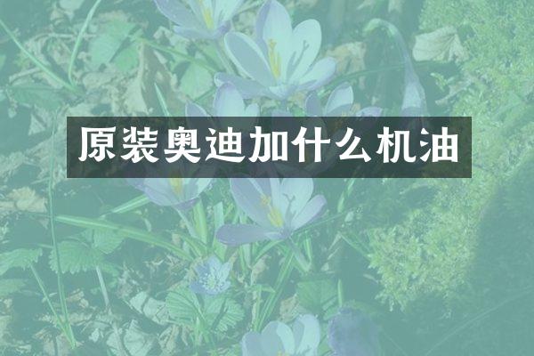 原装奥迪加什么机油