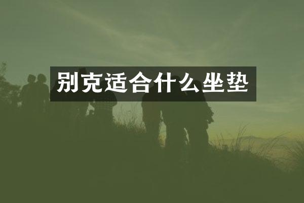 别克适合什么坐垫