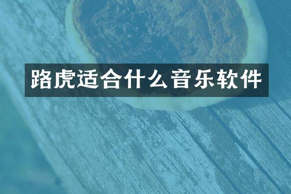 路虎适合什么音乐软件