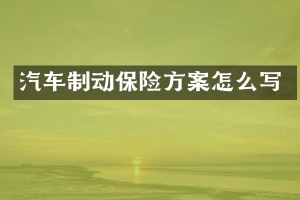 汽车制动保险方案怎么写