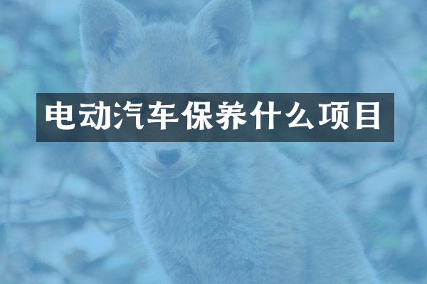 电动汽车保养什么项目